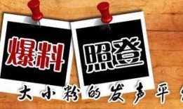 扬州新闻爆料平台,聚焦民生热点，揭示社会现象