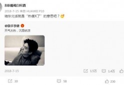 王子凡同学爆料视频,揭秘幕后真相